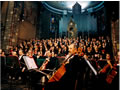 L'orchestra "Gaetano Donizetti"